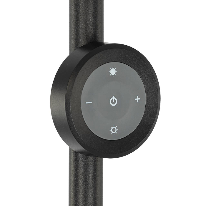 Торшер Citilux CL810031