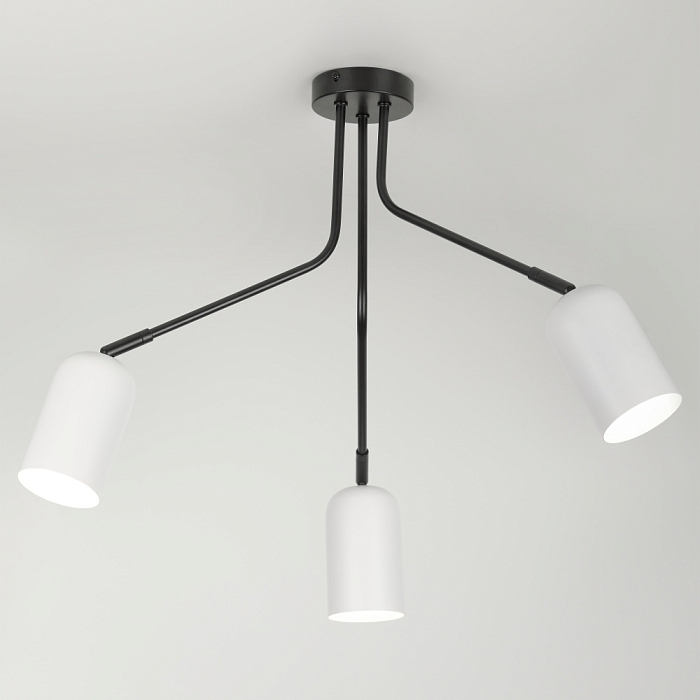 Rivoli 3167-303